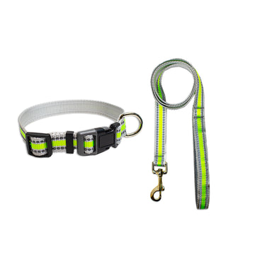Pawsindia Reflective Nylon Collar & Leash set for Small Dogs - Green